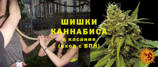 Альфа ПВП Алзамай