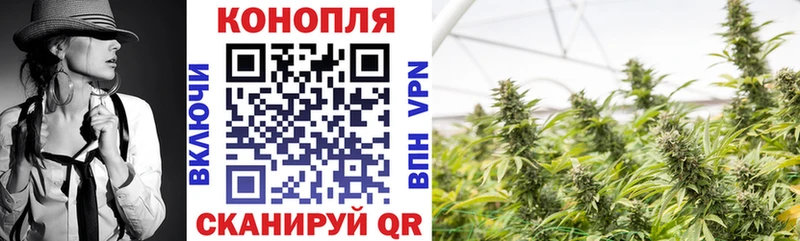 купить наркотик Данилов mega ONION Конопля план